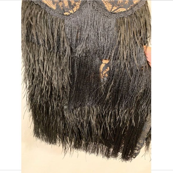 NEW $648 Tadashi Shoji‎ Aubrie Mini Fringe Lace Great Gatsby Dress [ SZ 2 ] - Picture 7 of 13